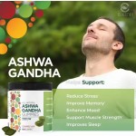 Private Label Supplement Bear Flavor Antioxidant Vitamins for Men Ashwagandha Gummies With Maca Root