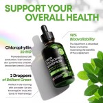 Wholesale Price Chlorophyll Drops Private Label Liquid Chlorophyll Drops Splina Liquid Chlorophyll