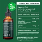 OEM 4-in-1 Vegan Chlorophyll Liquid Drops  with Copper for Energy, Gut, and Skin Health