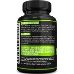 Organic Green Tea Extract Capsules , Boosts Metabolism & Natural Fat Burning, Antioxidant-Rich