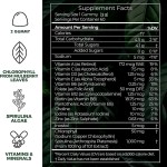 Super Spirulina Chlorophyll Gummies with Prebiotics & Vitamins for Beauty Detox Energy Boost - Adult Dietary Supplement