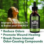Hot-selling Private Label Customized Extreme 6000mg Organic Vegan Chlorophyll Liquid Drops Splina Bulk Water Syrup Oral Vitamins