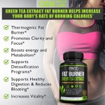Organic Green Tea Extract Capsules , Boosts Metabolism & Natural Fat Burning, Antioxidant-Rich