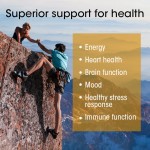 Softgels B Vitamin Complex to Promote Brain Health Food Supplement Softgels Multivitamin Brain Development