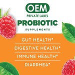 OEM Women's Probiotic Gummies with Lactobacillus & Cranberry - Urinary Tract & Vaginal Health, Digestive Balance Supplement