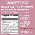 Hot Selling Mushroom Gummies for Brain Boost, Immune Support & Energy  10 Blend Formula for Men & Women