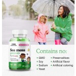 OEM  Kids Sea Moss Gummies for Immune and Thyroid Health with Chicory Root, Bladderwrack, and Burdock Root