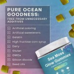 Organic Seaweed Glow Whitening Beauty Lighting Gummies Vegetarian Supplement Raw Seaweed Dietary Supplement Keto Detox