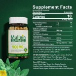 Private Label Mullein Leaf Gummies With Quercetin for Respiratory Support and Digestive Health - Lung Cleansing Formula
