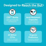 Probiotics Capsules 60 Billion CFU  Digestive Gut Health Probiotics Supplement for Women & Men