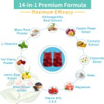 Premium Ashwagandha Stress Relief Gummies with Himalayan Shilajit and Vitamin B12 60 Gummies