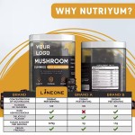 Hot Selling Mushroom Gummies for Brain Boost, Immune Support & Energy  10 Blend Formula for Men & Women