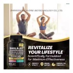 60 Shilajit Vegan Capsules Pure Himalayan Energy Booster with Ashwagandha Panax Ginseng for Adults Pregnant Women Safe