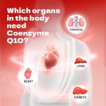 Health Supplement Coenzyme Q10 Soft Capsules Energy Supplement, Relieve Fatigue, Antioxidant, Vegan Plant Extract