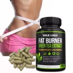 Clinically Proven for  Herbal for Women 60 Capsules Weight Loss Accelerator & Appetite Suppressant Fat Burner