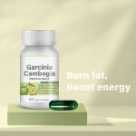 Best-Selling Garcinia Cambogia Capsule Effective Weight Loss Product with Private Label for Adults but Not for Pregnant Women