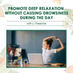 OEM Organic Vegan Ashwagandha Gummies - Immune Support, Sleep Aid, Stress Relief & Mood Calming for Adults