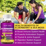 OEM Elderberry Gummies With Vitamin Zinc Boost Immune & Energy Support Supplements Promote Joint and Digestion System Support