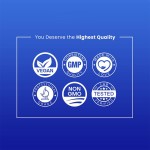 OEM Calm Gummies for Adults with L-Theanine, Ashwagandha, Vitamin B6 & Lemon Balm - Stress Relief & Mental Clarity Supplement