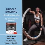 Sugar-Free OEM Creatine Monohydrate Gummies for Pre-Workout Energy Boost