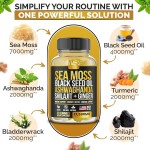 Biocaro Vegan Sea Moss Gummies with Black Seed Oil, Ashwagandha & Shilajit - Fulvic Acid Energy Boost