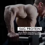 High Protein Sports Supplement Powder Exercise Energy Supply Muscles Increase Fast Absorption Vegan Gluten-free Protein Powder