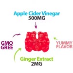 OEM & ODM Apple Cider Vinegar Slimming Gummy Vitamins Weight Loss Gummies for Adults Not for Pregnant Women