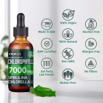 OEM 4-in-1 Vegan Chlorophyll Liquid Drops  with Copper for Energy, Gut, and Skin Health