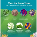 OEM Vegan Kids Focus Gummies - Vitamin B6, B12, Bacopa, Enhanced Focus & Energy