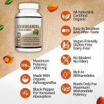 Ksm-66 Ashwagandha Root Extract Capsules Effective Adult Antioxidant Supplement Beauty Product Not for Pregnant Women