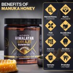 Shilajit Honey Flavored Gummies,Immune, Energy Support, No Artificial Additives, Private Label Welcome