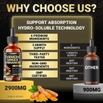 6-in-1 Liquid Curcumin and Turmeric Extract, Antioxidant and Digestive Drops