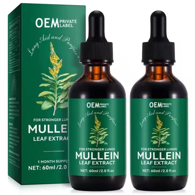 OEM Lungs Lung Cleanse and Phlegm Support Fast Absorption Mullein Leaf Extract Mullein Drops