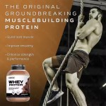 Body Fortress Super Quality Whey Protein Powder Supplement Supplement Before Exercise Energy Muscle Enlargement