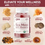 OEM Private Label Sea Moss with Shrooms Gummies - 6 in 1 Superfood Supplement