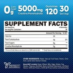 Hydration Powder & Muscle Support Gummies - Pre/Post-Workout Supplement for Muscle Recovery & Energy