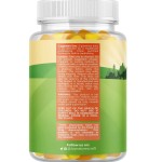 OEM Premium Vegan DHA Gummies with Pure Vitamin C for Kids - Supports Brain and Joint Health