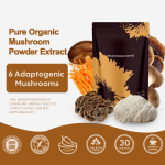 Organic Mushroom Coffee Mixed with a Variety of Beneficial Fungi Natural Energy Focus Immunity Mood and Energy boost Powder