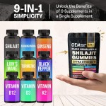 9-in-1 Shilajit Gummies with Ashwagandha & Vitamin D3 - Turmeric Ginseng Complex for Energy & Immunity