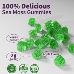 OEM Organic Sea Moss Gummies with Vitamin C | Vegan Immune Support | Burdock Root & Bladderwrack Supplement for Adults