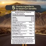 Pure Himalayan Shilajit Gummies Ashwagandha Burdock Root Fulvic Acid Shilajit Gummies Supplement Energy