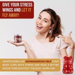 Natural Herbal Sleep Stress Vitamin C and Vitamin D2 Gummy Supplement Organic Vegan Ashwagandha Root Extract Gummy