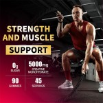 OEM/ODM Strawberry Creatine Monohydrate Gummies for Enhanced Muscle Gain and Absorption