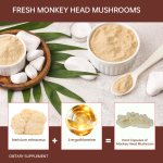 OEM Private Label Lion's Mane Mushroom Capsules Manufacturer - Pure Hericium Erinaceus Powder Quality Supplements with Custom Formula
