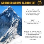 Source Factory for Gold Grade Shilajit Resin 30g - Pure Natural Liquid 600mg Per Serving Pur Himalayan Sticky Resin