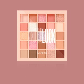 25色眼影盘生产商-防水高色素哑光