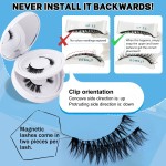 Magnetic Eyelash Set Factory - 2 Pairs Customize With Mirror Clip