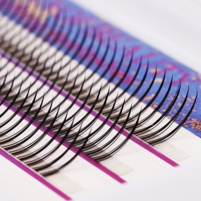 Cashmere Lash Extensions Manufacturer - Premade Trays Starter Kit