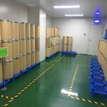 Apple Juice Powder Manufacturer - Pure Green Apple Powder