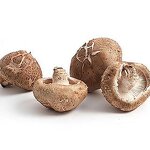 Lentinus Edodes Mushroom Powder Manufacturer - Herbal Extract Powder